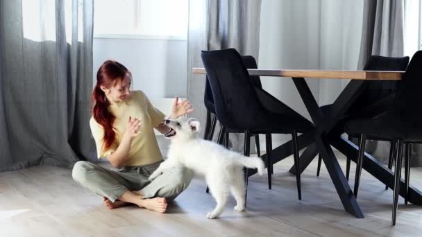 Uma Jovem Brinca Com Pequeno Cachorro Branco Chão Sala Jantar — Vídeo de Stock