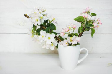 Beyaz ahşap arka planda beyaz çiçekli güzel bir elma ağacı filizi. Suyla dolu bir bardakta çiçek açan dal. Bahar hala hayattır. Mesaj için yer. Bahar ya da Anneler Günü kavramı.