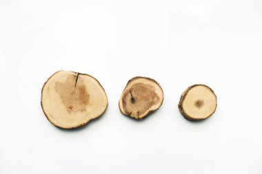 Ağaç Kesiği Örnekleri beyaz arka planda izole edilir. Ağaç gövdesinin kesitinde beyaz arka planda büyüme halkaları görünüyor. Üst üste istiflenmiş yuvarlak ahşap tahtalar. Kozmetik, estetik ve tasarım ürünleri için.