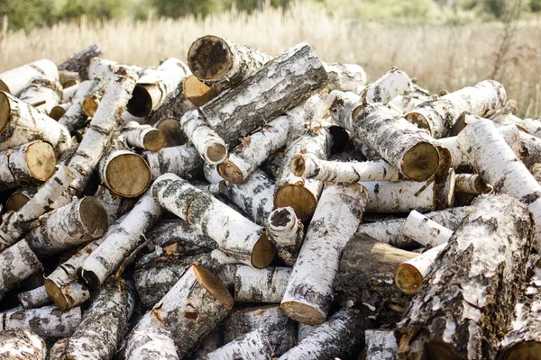 A pile of birch firewood lies on the grass. Chopped firewood stacked in a pile. Pile of logs for fireplace.