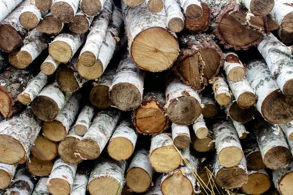 A pile of birch firewood lies on the grass. Chopped firewood stacked in a pile. Pile of logs for fireplace.