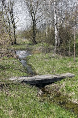 Arka planda çayır olan bir derenin üzerinde köprü. Fild 'deki derenin üzerindeki küçük köprü..