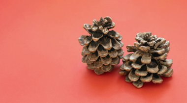 Kırmızı arkaplanda, kopyalama alanı olan pullu koniler. Yeni yıl ve Noel zamanı kavramı. Noel afişi, taklit et