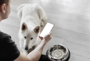 Elinde beyaz ekran telefonu olan eli boş bir kaseyle aç bir köpeğin yanında. İnternetten evcil hayvanlar için yemek sipariş etme fikri. Evcil hayvanlar için yiyecek teslimatı. Evcil hayvan dükkanı. Hayvan yemi.