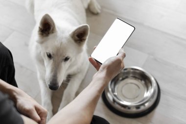 Elinde beyaz ekran telefonu olan eli boş bir kaseyle aç bir köpeğin yanında. İnternetten evcil hayvanlar için yemek sipariş etme fikri. Evcil hayvanlar için yiyecek teslimatı. Evcil hayvan dükkanı. Hayvan yemi.
