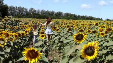 Avrupa görünümlü anne ve kızı ağır çekimde ayçiçeği tarlasında yürüyorlar. Yazın ayçiçeği tarlası.