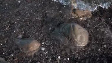 Yazın yavaş çekimde dalgalar ve kayalar sahile vuruyor.