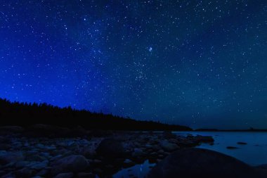 Yıldızlı bir gökyüzü ve parlak yıldızlı Samanyolu ile gece manzarası. Astrofotografi takımyıldızları ve galaksiler ile bir gölün suları üzerinde kayalar ve arka planda bir orman.