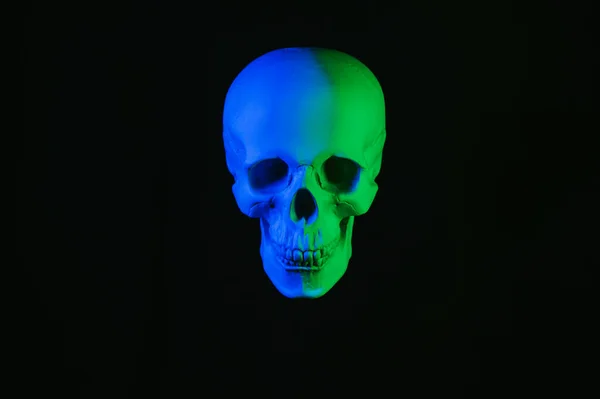 Crâne Humain Avec Lumière Néon Colorée Sur Fond Noir Isolé — Photo