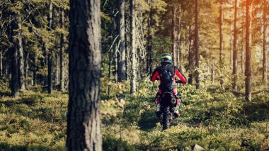 Dayanıklı bir spor motosiklet yarışçısı güneşli bir günde, bir off-road yarışında ormanda motosiklet sürüyor.