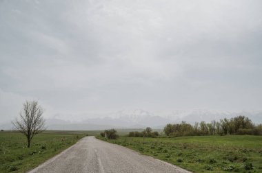 Baharda bulutlu bir günde, dağların arka planına karşı yeşil bir tarlanın ortasında boş bir yol.