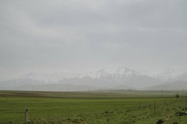 Baharda bulutlu bir günde dağların arka planına karşı yeşil alan
