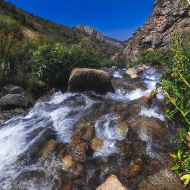 Yazın vadideki otların arasında kayalık bir dere nehri var. Kazakistan 'daki Kaskasu Boğazı