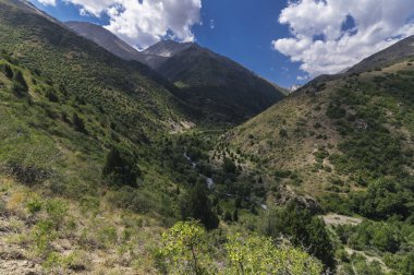 Dağlarda bulutlu bir nehri olan yeşil bir vadi manzaralı bir manzara.