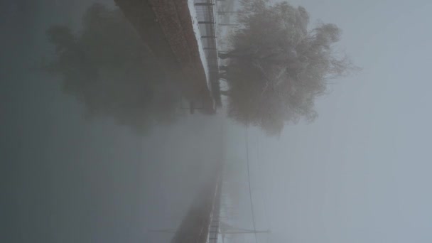 Туманный Пейзаж Рекой Деревьями Аллее Тумане Зимним Утром Вертикаль — стоковое видео