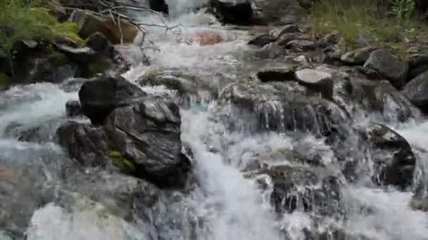 Berrak Suyla Dağ Nehri Yazın Taşlarla Akan Hızlı Bir Nehir — Stok video