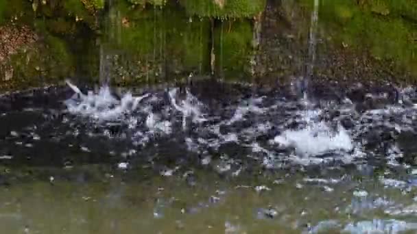 Wasser Aus Eiszapfen Die Frühling Schmelzen Tropft Den Brunnen — Stockvideo