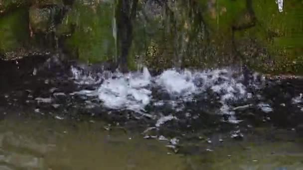 Wasser Aus Eiszapfen Die Frühling Schmelzen Tropft Den Brunnen — Stockvideo