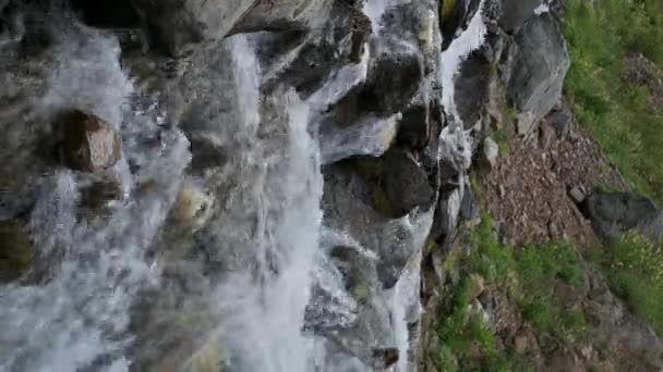 Гірська Річка Тече Чистою Водою Камінням Влітку Вертикальний Повільний Рух — стокове відео