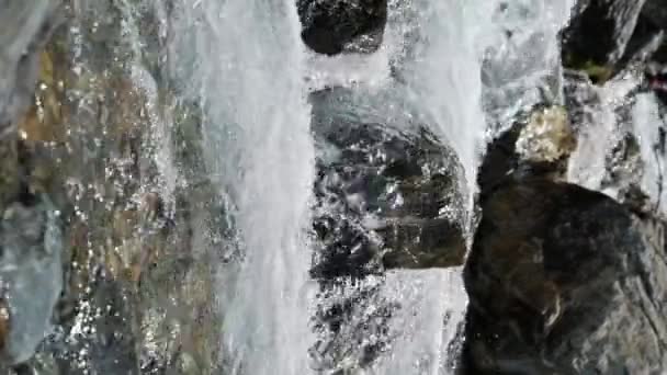 Горный Речной Поток Чистой Водой Быстрым Течением Скалистыми Порогами Летом — стоковое видео