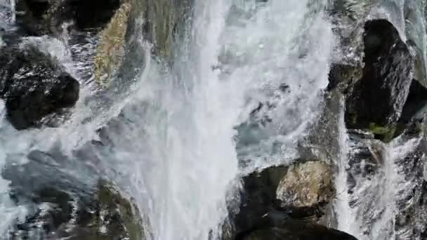 Berrak Sularla Dolu Dağ Nehri Yazın Taşlarla Dolu Hızlı Bir — Stok video
