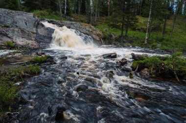 Nehirde şelale Yazın ormanda taşlar bulutlu bir günde