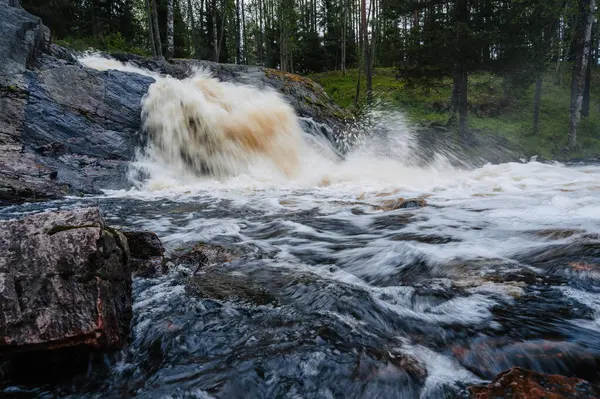Nehirde şelale Yazın ormanda taşlar bulutlu bir günde