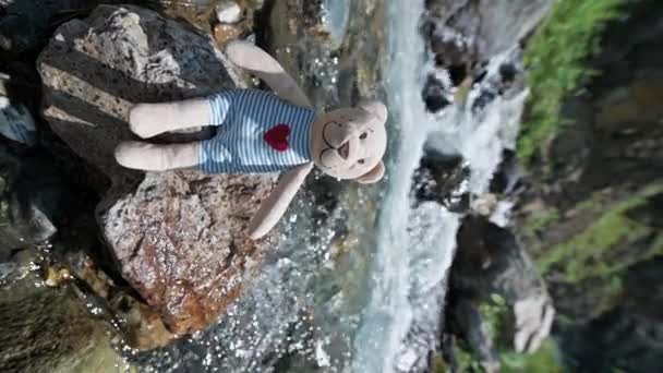 Іграшковий Плюшевий Плюшевий Ведмедик Розслабляється Камені Біля Гірської Річки Під — стокове відео