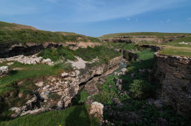 Baharda Kazakistan 'daki Aksu Nehri kanyonunun panoramik manzarası