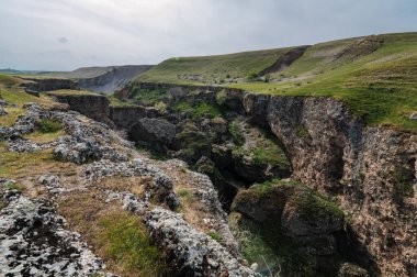 Baharda Kazakistan 'da Aksu kanyonu vadisi olan yeşil vadi manzarası