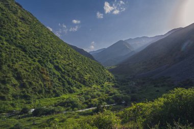 Tien Shan Dağları Koksai Vadisi 'nde, Asya' daki Aksu-Zhabagly Doğa Koruma Alanı 'nda yazın mavi gökyüzünün altında.