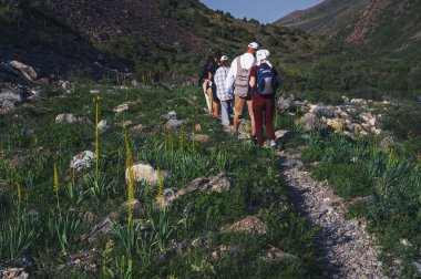 Bir grup turist yaz aylarında dağlarda bir tarlada yürüyüş yaparken sırt çantasıyla gezerler.