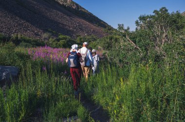 Bir grup turist yaz aylarında dağlarda bir tarlada yürüyüş yaparken sırt çantasıyla gezerler.