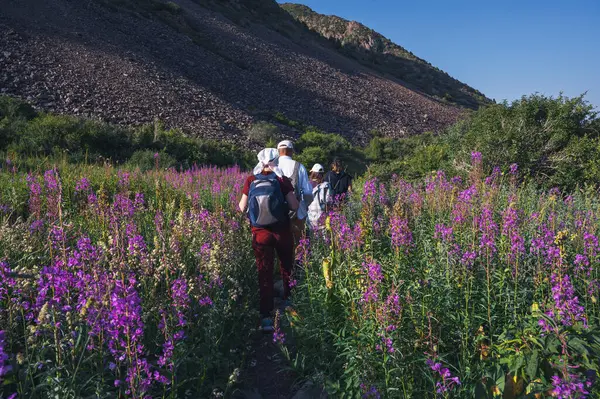 Bir grup turist yaz aylarında dağlardaki bir vadide sırt çantasıyla yürüyüş yapıyor.