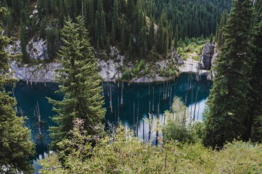 Kazakistan 'daki Tien Shan dağlarındaki Kaindy Gölü' nde batık bir köknar ormanı var. Bir İHA 'dan üst görünüm