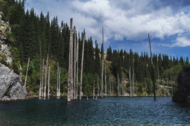 Tien Shan dağlarındaki Kaindy Gölü yazın Kazakistan 'da bulutlu bir günde. Batık köknar ormanı olan gizemli bir göl.