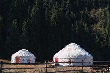 Yazın Kazakistan bozkırlarında, ormanın yakınındaki geleneksel Asya göçebe beyaz yurtlar.