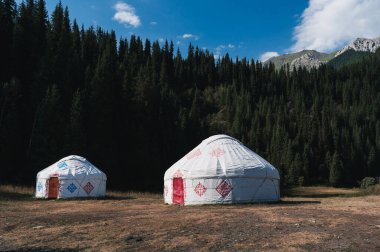 Geleneksel Asyalı göçebe evleri yazları Kazakistan 'daki Tien Shan Dağları' nda ladin ormanlarının yakınındaki bir tarlada yaşarlar.