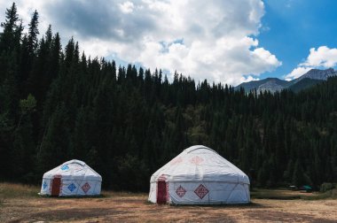 Yazın Kazakistan bozkırlarında, ormanın yakınındaki geleneksel Asya göçebe beyaz yurtlar.