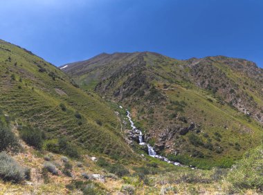 Yazın vadideki bir tarlada çağlayan şelalelerle dolu bir dağ nehri. Panorama manzara gökyüzü üstü