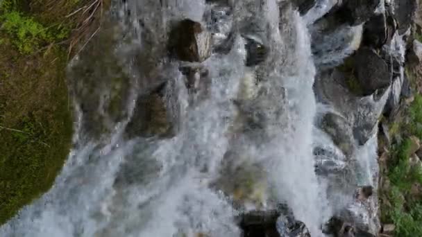 山间小河 清澈清澈的水 夏天飞溅着石头 垂直慢动作 — 图库视频影像