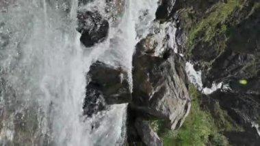 Berrak sularla dolu dağ nehri ve yazın taşlarla dolu hızlı bir akarsu. Dikey video