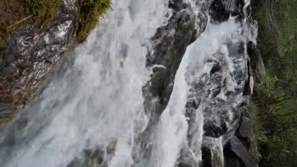 Річковий Потік Чистою Водою Тече Між Скелями Влітку Вертикальний Повільний — стокове відео