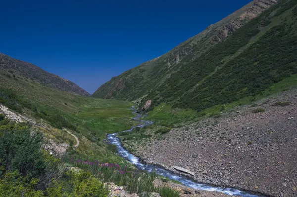 Vuoristojoki Pellolla Laaksossa Koksain Rotkossa Aksu Zhabaglyn Luonnonsuojelualueella Kazakstanissa Kesällä — kuvapankkivalokuva