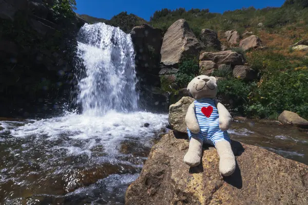Plush Toy Teddy Bear Traveler Sits Rock Waterfall River Vacation — Stock Photo, Image