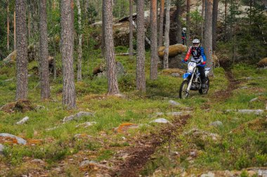 KARELİYA, RUSSIA REÜKLİK - CIRCA HAZİRAN 2022: Karelia 'da Ladoga Kupası 2022 off-road turnuvası. Motosikletçi bir motokros sporu dayanıklı motosiklet ormanda yolda spor moto yarışı yapıyor.