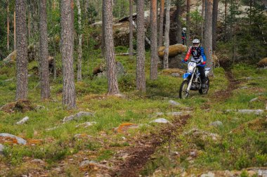 KARELİYA, RUSSIA REÜKLİK - CIRCA HAZİRAN 2022: Karelia 'da Ladoga Kupası 2022 off-road turnuvası. Motosikletçi bir motokros sporu dayanıklı motosiklet ormanda yolda spor moto yarışı yapıyor.