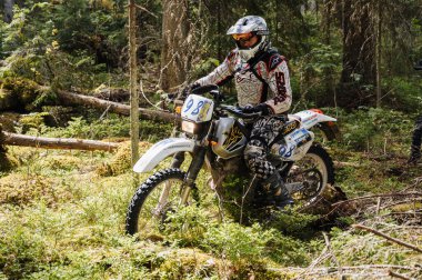 KARELİYA, RUSSIA REÜKLİK - CIRCA HAZİRAN 2022: Karelia 'da Ladoga Kupası 2022 off-road turnuvası. Motosiklet yarışçısı, motorsiklet yarışında zorlu bir ormanda spor dayanıklı bir motosiklet sürüyor.