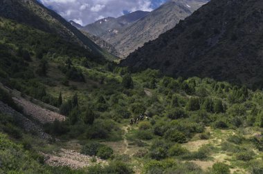 Turistler yazın dağlarda at sırtında kanyondan geçiyorlar.