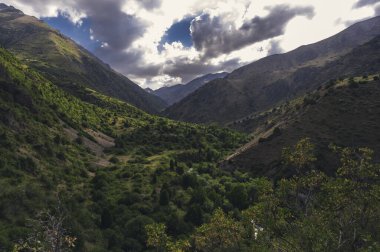 Dağlarda bulutlu bir nehri olan yeşil bir vadi manzaralı bir manzara.